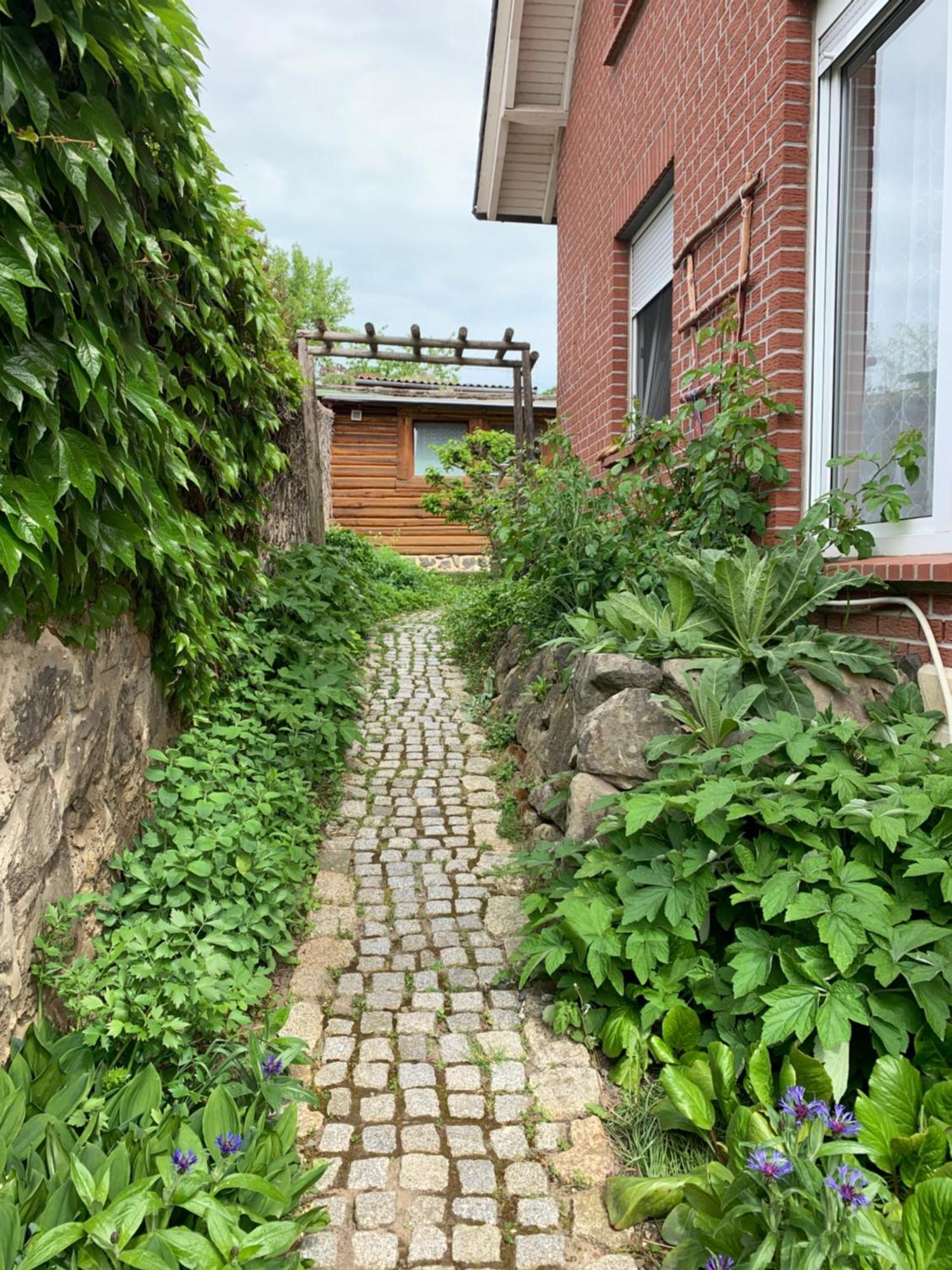 Blockhausvermietung "Vor Dem Groeperntor" Quedlinburg Kültér fotó