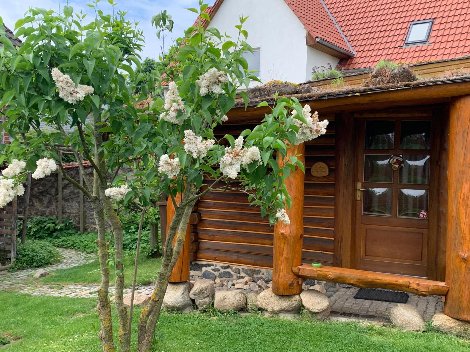 Blockhausvermietung "Vor Dem Groeperntor" Quedlinburg Kültér fotó